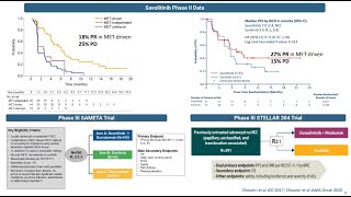 #UromigosLive24 Front-Line Therapy in RCC Panel Part 3: What Data is Forthcoming in Papillary RCC?