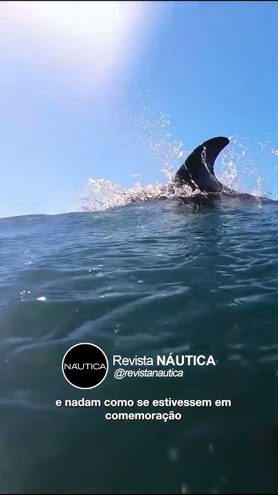 😱 Hoje Estreia O Último Episódio!