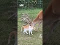 best friends