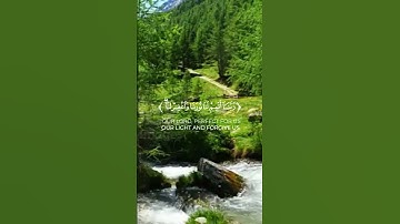 ربنا اتمم لنا نورنا واغفر لنا ( سورة التحريم)