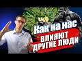 🚸Что такое рок, судьба или карма. Как на нас влияют другие люди? | ПСИХОЛОГИЧЕСКАЯ ЗАРЯДКА