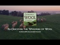 An introduction to sonoma wool company