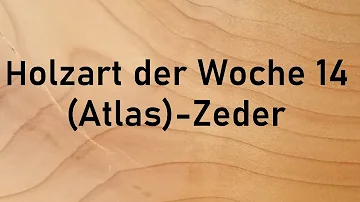 Wie erkenne ich Zedernholz?