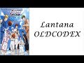 Ending Kuroko No Basuke season 3 OLDCODEX – Lantana Lyrics (Kan/Rom/Eng)