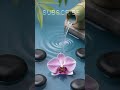 Relaxing Music🎶Stress &amp; Anxiety Relief 🍀Soft Piano &amp; Gentle Water Sounds💦Calming Music  Sleep Music