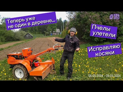 Видео: Теперь уже не один в деревне. Пчелы улетели... Исправляю ошибки.