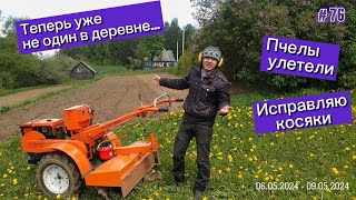 Теперь уже не один в деревне. Пчелы улетели... Исправляю ошибки.