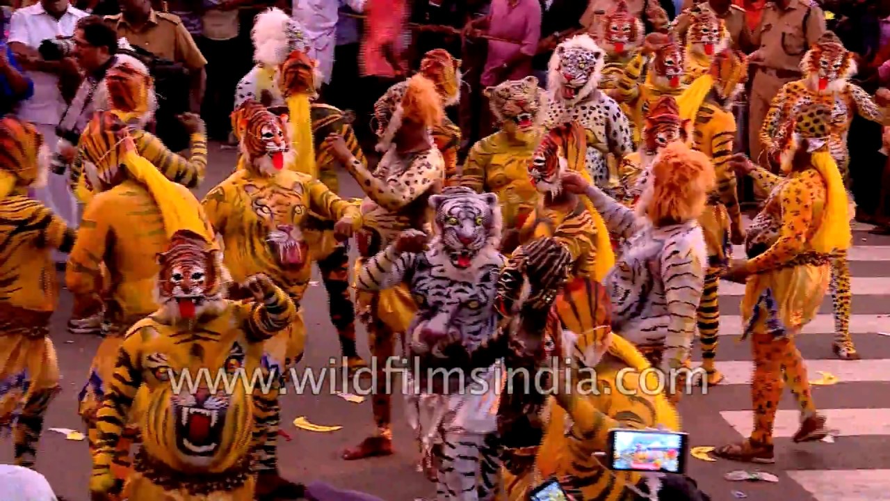 Tigers on streets in Thrissur Pulikali dance festival