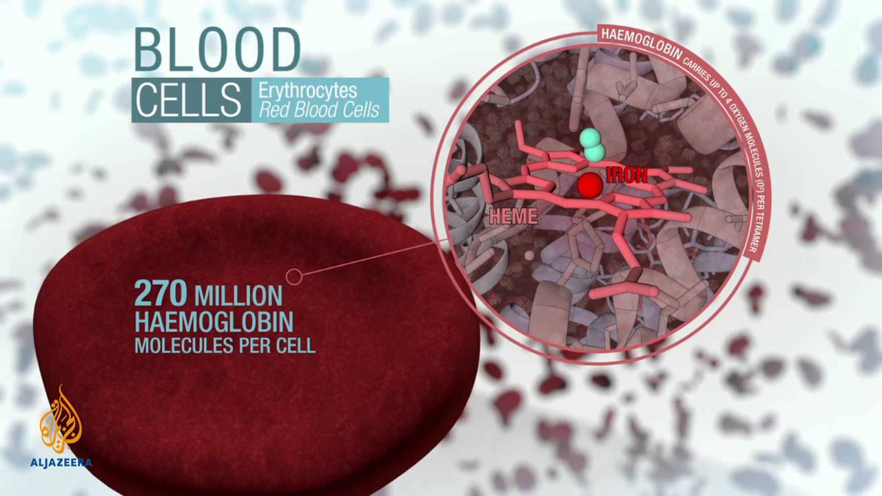 The Cure Blood a primer YouTube