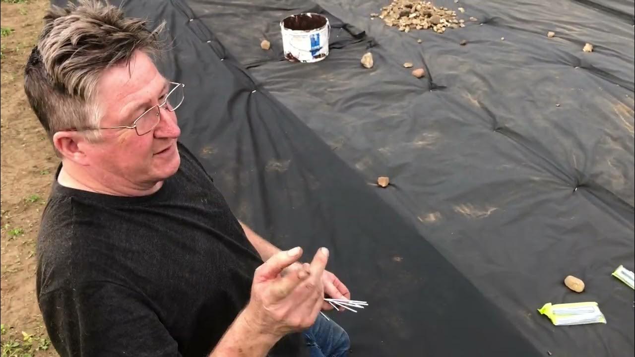 How to lay weed control barrier membrane fabric on soil and with use on gravel YouTube