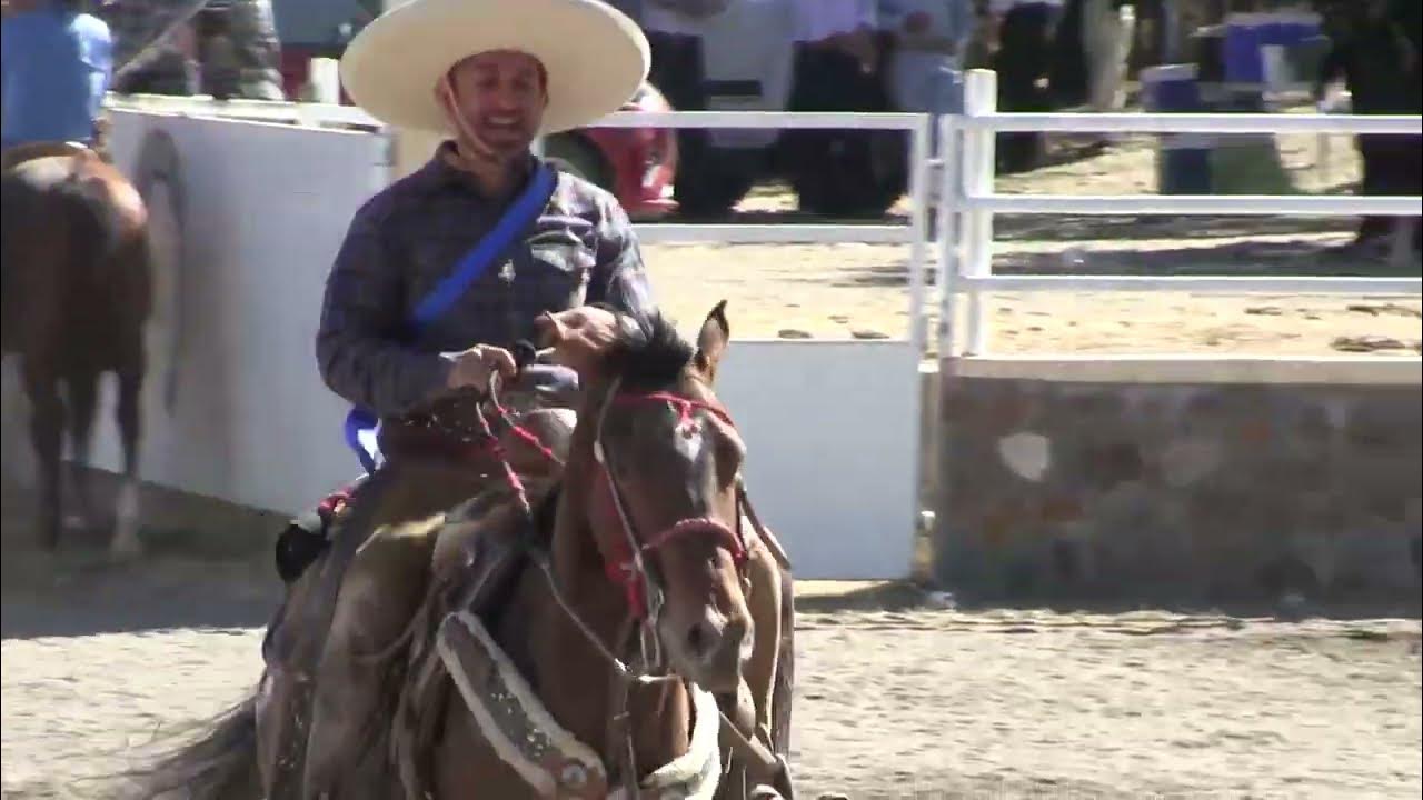 Tradicional Rodeo en Cruces YouTube