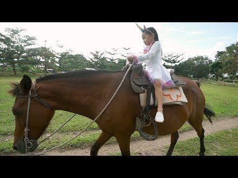 Donna The Explorer Pre-Birthday Teaser Video