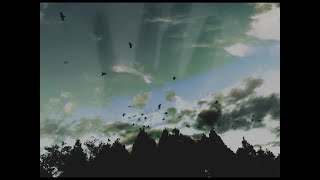 Sassya- 何もかも Official Video