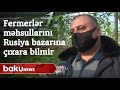 Fermerlər məhsullarını Rusiya bazarına çıxara bilmir