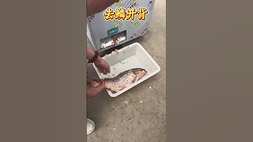 #Frozen Meat Chopping Machine #Slicing Machine #Zhengou Chopping Machine #Meat Processing Equipment