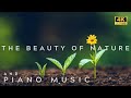 4K | Relaxing Piano Music and The Beauty of Nature with Nature Sounds