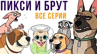 ПИКСИ И БРУТ. ВСЕ КОМИКСЫ 2020 | Мемозг #482