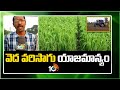 వెద వరిసాగు యాజమాన్యం | Profitable Crop Vedha Paddy | Matti Manishi | 10TV News