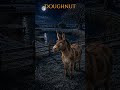 Meet Doughnut | The Joker of The Night Riders