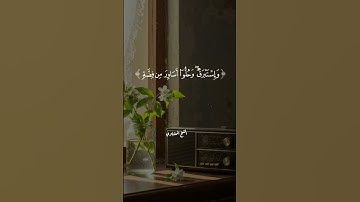 المنشاوي  تلاوة مؤثرة تهدئ قلبك وتملأ روحك بالخشوع