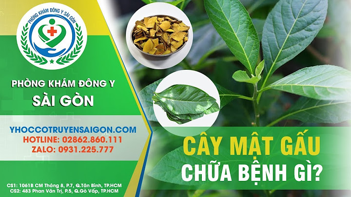 Tác dụng của cây mật gấu như thế nào năm 2024