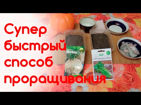 🥕Супер быстрый способ проращивания мелких семян сельдерея, моркови, лука, петрушки, фенхеля🍆