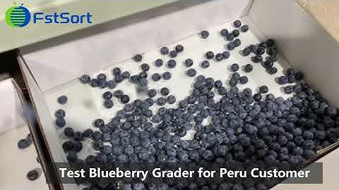 Blueberry Sorting Machine; Small blueberry grading machine;