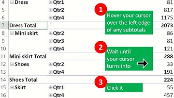 Select And Format All Subtotals Rows In Pivot Table (In Tabular Form) | Dollar Excel