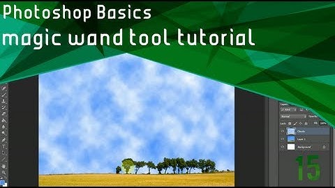 Photoshop Basics - Magic Wand Tool Tutorial