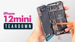 iPhone 12 Mini Teardown