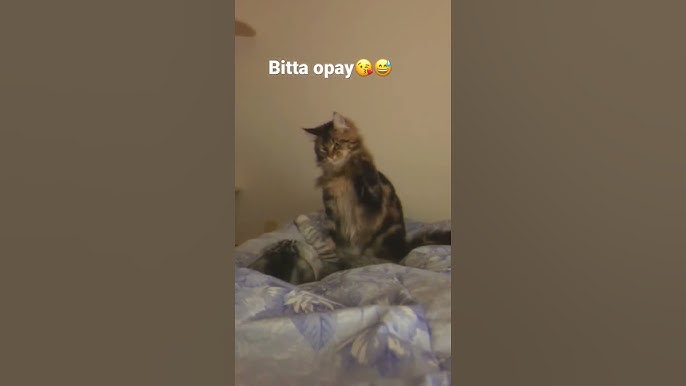 Nikoletta Blue bilan porno Suvli vaginalarning yaqindan olingan fotosuratlari