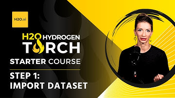 7.1. Deep Dive into Coins: Hydrogen Torch Exploration of the Dataset!