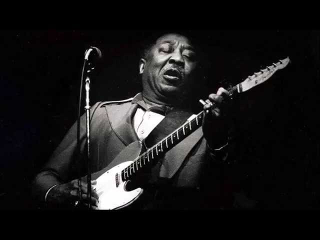 Muddy Waters - Caldonia