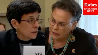 'Yes Or No?': Harriet Hageman Grills Biden Administration Official About BLM Plan