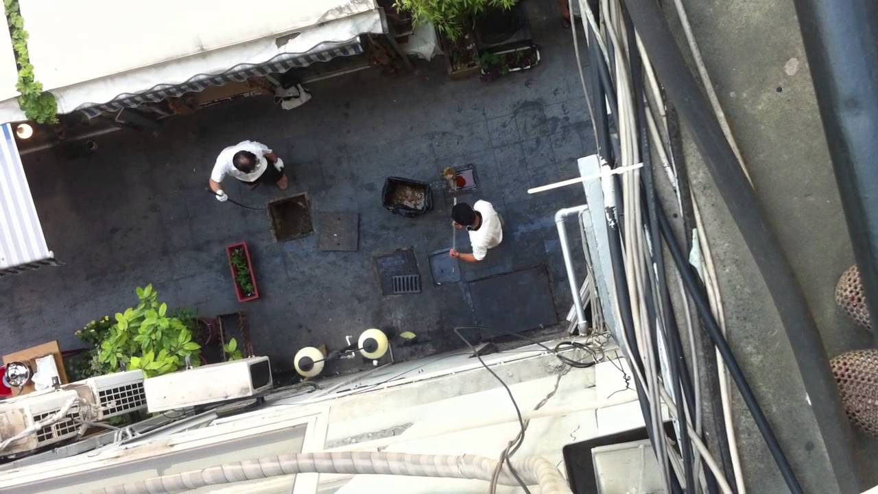 Extracting "gutter oil" in Shanghai YouTube