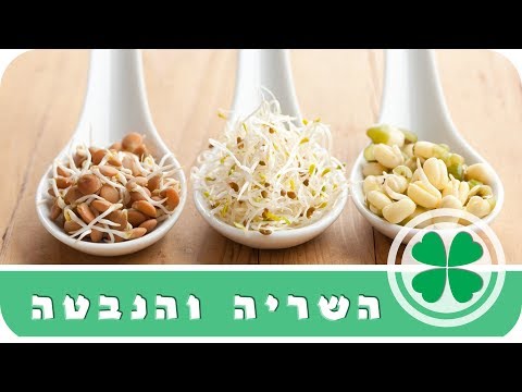 וִידֵאוֹ: האם להשרות זרעי זיניה?