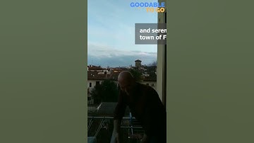 Pandemic Lockdowns didn