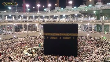 سورة الغاشية ياسر سلامة