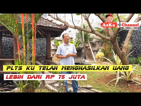 Video: Berapa banyak uang yang Anda hemat dengan panel surya?