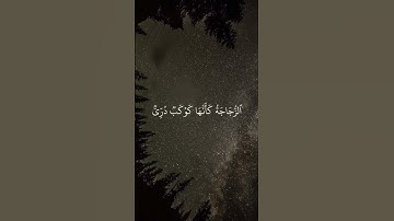 تلاوة خاشعة من القرآن الكريم | الله نور السموات والأرض | Muhammad Dibirov | القارئ محمد ديبيروف