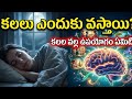 కలలు ఎందుకు వస్తాయి? వాటి వెనుక అసలు రహస్యం ఇదే!