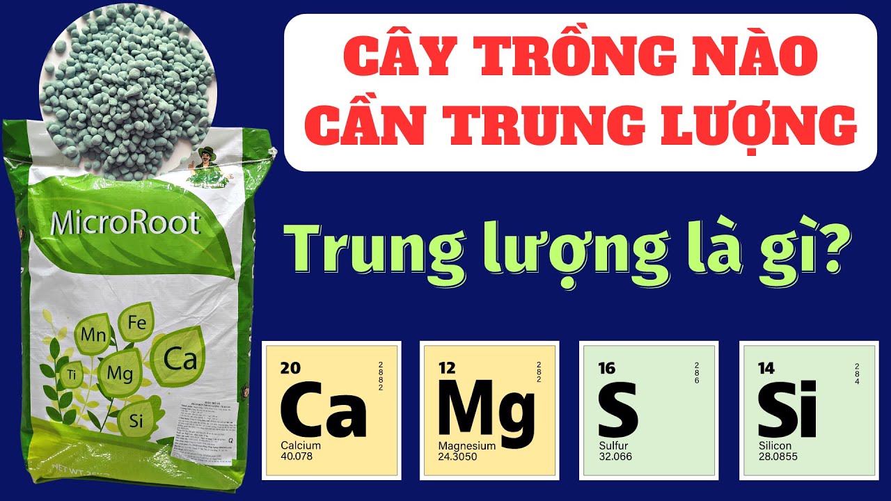 Phân bón trung lượng cần bổ sung cho cây trồng nào? | Hạn chế nứt trái và ổn định pH, cố định phèn