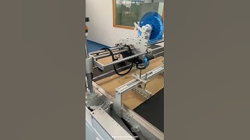 Carton box case adhesive tape labeling machine tape label top labeling line