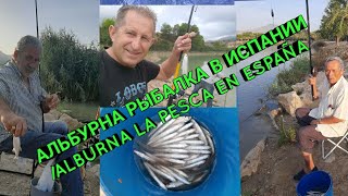 АЛЬБУРНА РЫБАЛКА В ИСПАНИИ/ALBURNA LA PESCA EN ESPAÑA