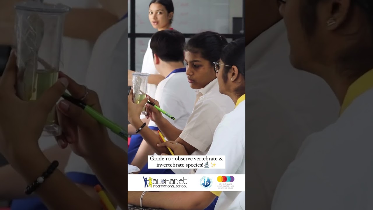 Grade 10  observe and classify vertebrate and invertebrate species!