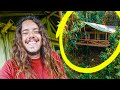 tour casa sull'albero nella giungla! 🇨🇷 in Costa Rica