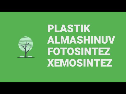 Video: Nima uchun fotosintez uglerod assimilyatsiyasi deb ataladi?