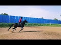 Chakri Bijje || Horse riding ||