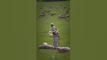 سورة: الحديد أواخر الآية (٢٠).