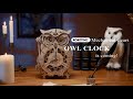 Robotime Cool  Handmade Mechanical Project OWL CLOCK is coming!